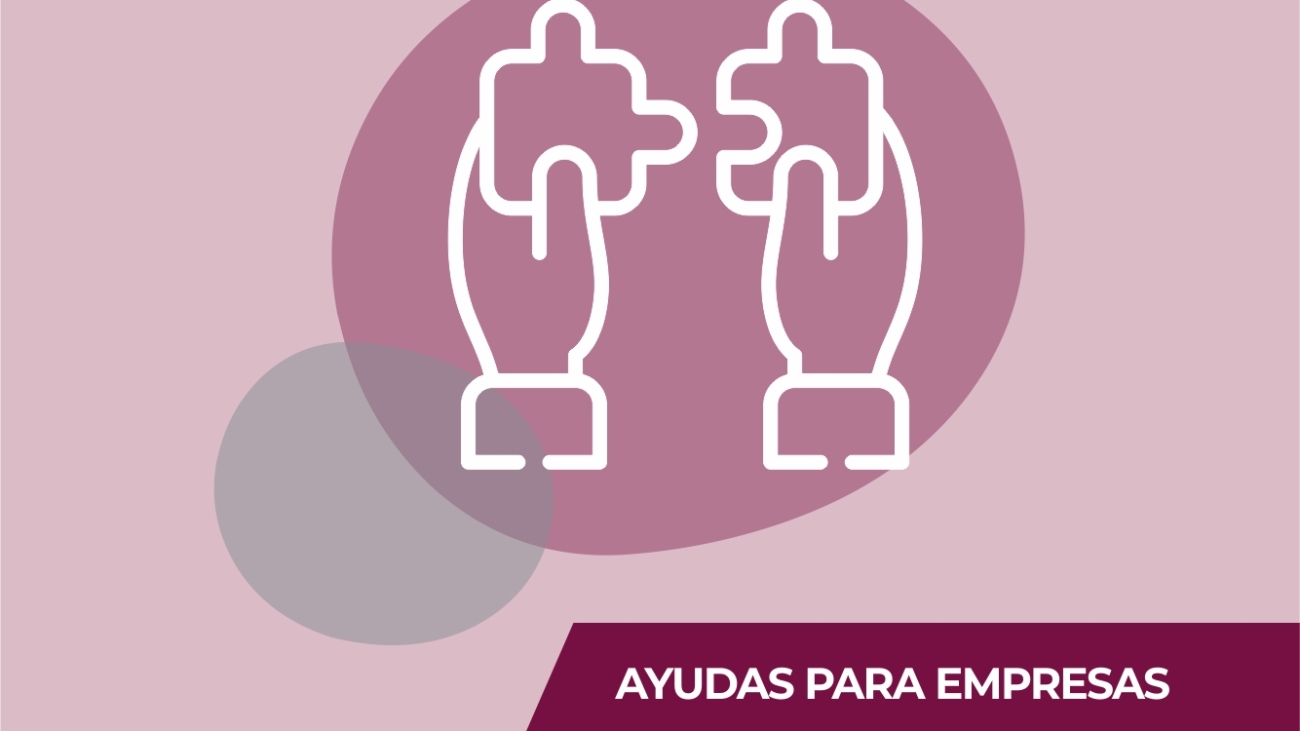 ayudas empresas
